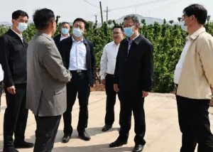 省调研组来我区调研乡村振兴工作-爱山亭网