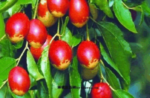 山亭区十大旅游景点，你去过几个？-爱山亭网