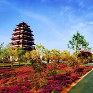 趣游端午假期 | 五彩公园“花慢城”-爱山亭网