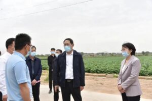 市人大常委会调研组来我区调研新型农业经营体系建设工作-爱山亭网