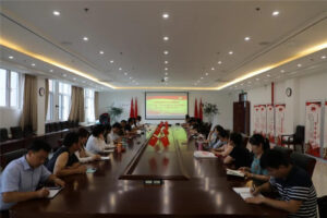 校园党建：“严肃换届纪律，保证换届风清气正”主题党日活动-爱山亭网