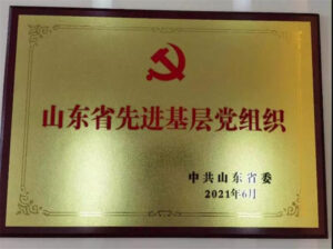 枣庄翔宇中学荣获省级“两优一先”荣誉称号-爱山亭网