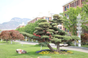 周末不回家，翔宇就是家-爱山亭网