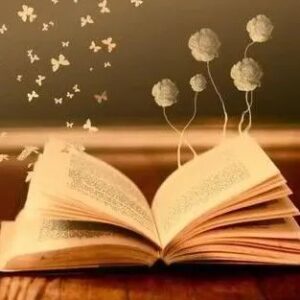 【书香山亭】冯卯镇：创建书香机关 共享书香文化-爱山亭网