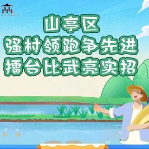 山亭区村党组织书记乡村振兴“强村领跑”“擂台比武”火热开赛！-爱山亭网