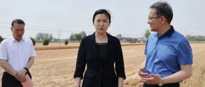 张宏伟来我区调研“三夏”生产工作-爱山亭网