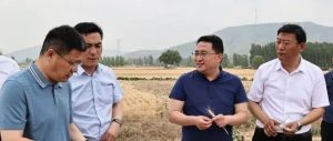 刘洪鹏调研“三夏”生产工作-爱山亭网