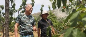 十年驻村“税力量”  绘就乡村新画卷-爱山亭网