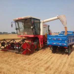 我区念好“四字”诀 全力推进“三夏”生产-爱山亭网