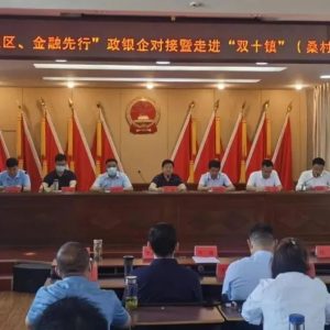 “工业强区、金融先行”政银企对接暨走进“双十镇”（桑村镇专场）活动举行-爱山亭网