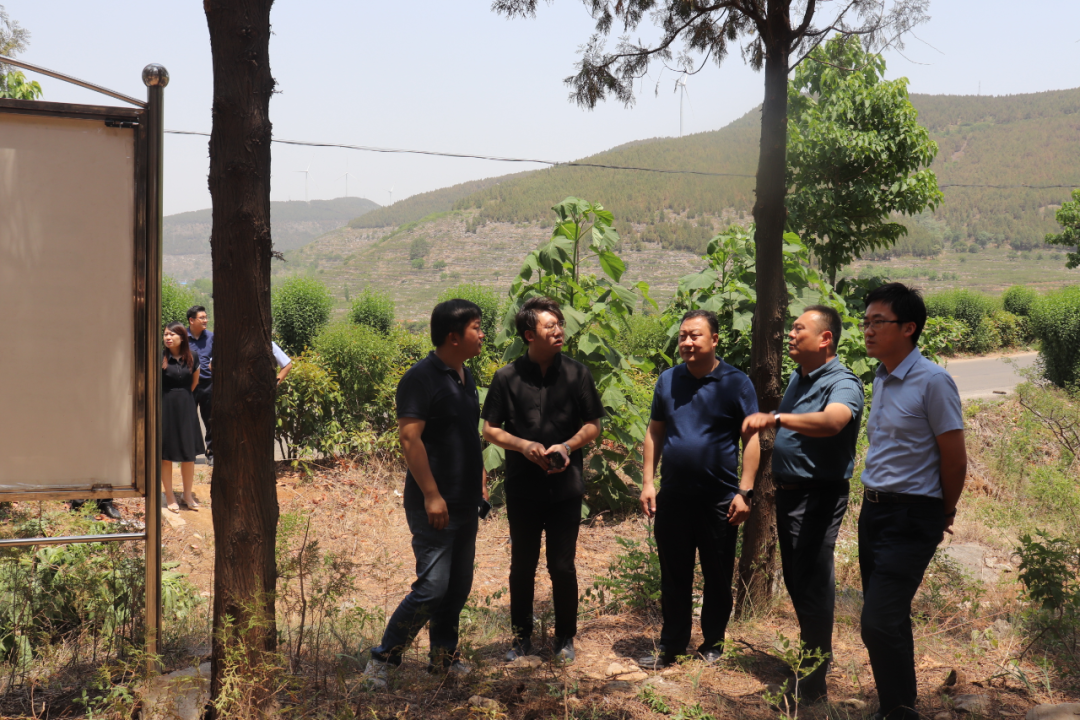 图片[3]-山东中和碳排放服务中心调研我区碳汇开发等工作-爱山亭网
