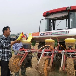 稳粮增豆！我区推广大豆玉米带状复合种植促增收-爱山亭网