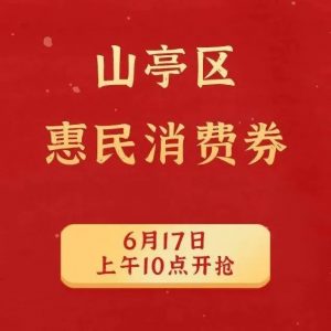 山亭区第二轮惠民消费券发放活动开始啦！锁定周五上午10点开抢！-爱山亭网