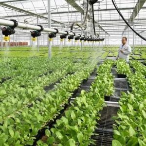 君山观潮 | 打造“亭”好品牌 建设“智”美乡村-爱山亭网