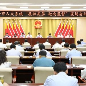 全市人大系统“履职亮屏、靶向监督”现场会议在我区召开-爱山亭网