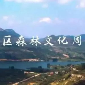 首届山亭区森林文化周盛大开启-爱山亭网