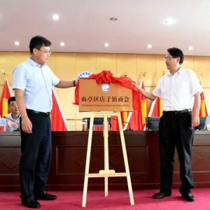 合作共赢！店子镇商会今日成立-爱山亭网