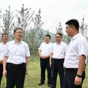 王德海督导检查防汛工作-爱山亭网