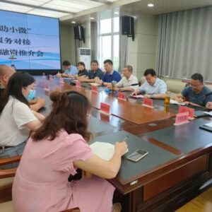 我区召开“政银携手 共助小微”政银企信贷服务对接暨知识产权质押融资推介会-爱山亭网