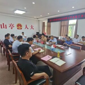 区人大常委会机关举行全面从严治党工作推进会议暨“七一”专题党课活动-爱山亭网