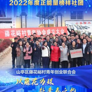 2022年度“好网民·在枣庄”正能量榜样人物（社团）优秀事迹风采展播⑮-爱山亭网