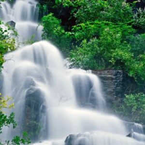 “影阅山亭”| 雨后美景养人眼-爱山亭网