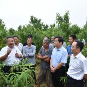 新闻在一线 | 冯卯果农“足不出园”学技术-爱山亭网