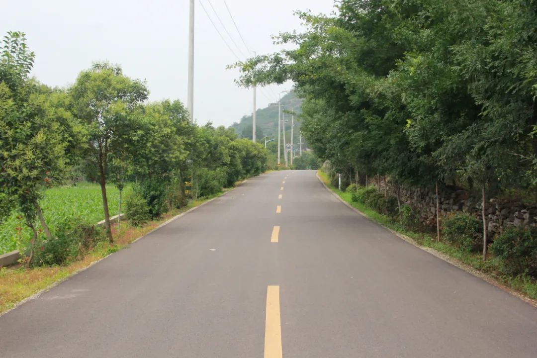 图片[4]-共创全国文明城市 | 加强公路夏季养护 打造美丽公路山亭样板-爱山亭网