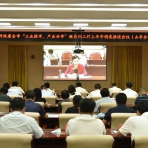 我区收听收看全市“工业强市、产业兴市”链长制工作上半年调度推进会议-爱山亭网