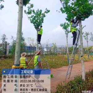 点赞！不惧“烤”验，他们用汗水扮靓城市-爱山亭网