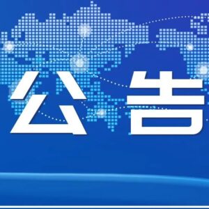 区公安分局交通警察大队关于设置机动车违法行为严格管理路段的公告-爱山亭网