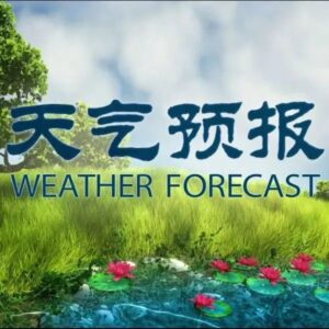 台风“梅花”逼近！山东将有大到暴雨，局地大暴雨！枣庄接下来天气....-爱山亭网