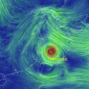 最新消息！枣庄发布台风蓝色预警信号-爱山亭网