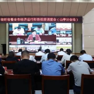 我区收听收看全市经济运行形势视频调度会-爱山亭网