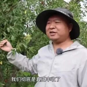 丰收见证｜红枣飘香，村里来了位90后种枣好青年-爱山亭网
