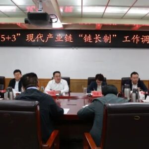全区“5+3”现代产业链“链长制”工作调度会议召开-爱山亭网