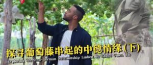 【我在中国挺好的·第二季】探寻葡萄藤串起的中德情缘（下）-爱山亭网