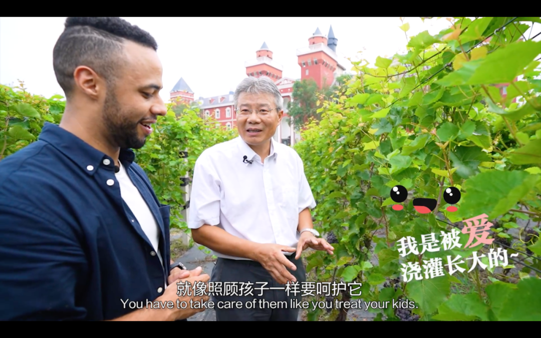 图片[1]-【我在中国挺好的·第二季】探寻葡萄藤串起的中德情缘（上）-爱山亭网