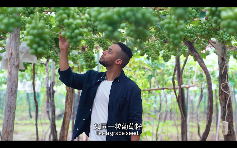 图片[3]-【我在中国挺好的·第二季】探寻葡萄藤串起的中德情缘（下）-爱山亭网