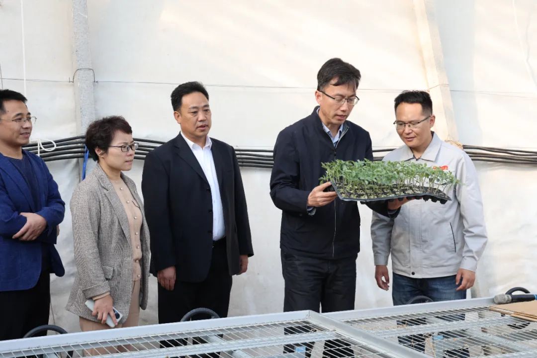 图片[2]-团省委副书记尚胜波一行来我区调研共青团工作-爱山亭网
