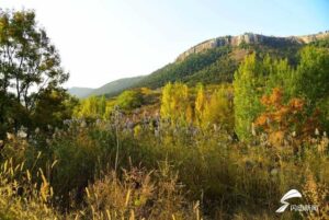 枣庄山亭白蒋峪层林尽染 秋日美景如画-爱山亭网