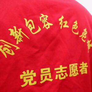 微视频 |党徽闪耀在疫情防控一线-爱山亭网