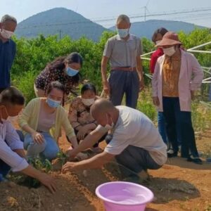 学思践悟 踔厉奋发 | 党的二十大精神大家谈（十）-爱山亭网