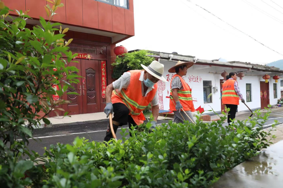 图片[12]-【满意山亭】凫城镇：打响人居环境整治战 共建生态美丽家园-爱山亭网