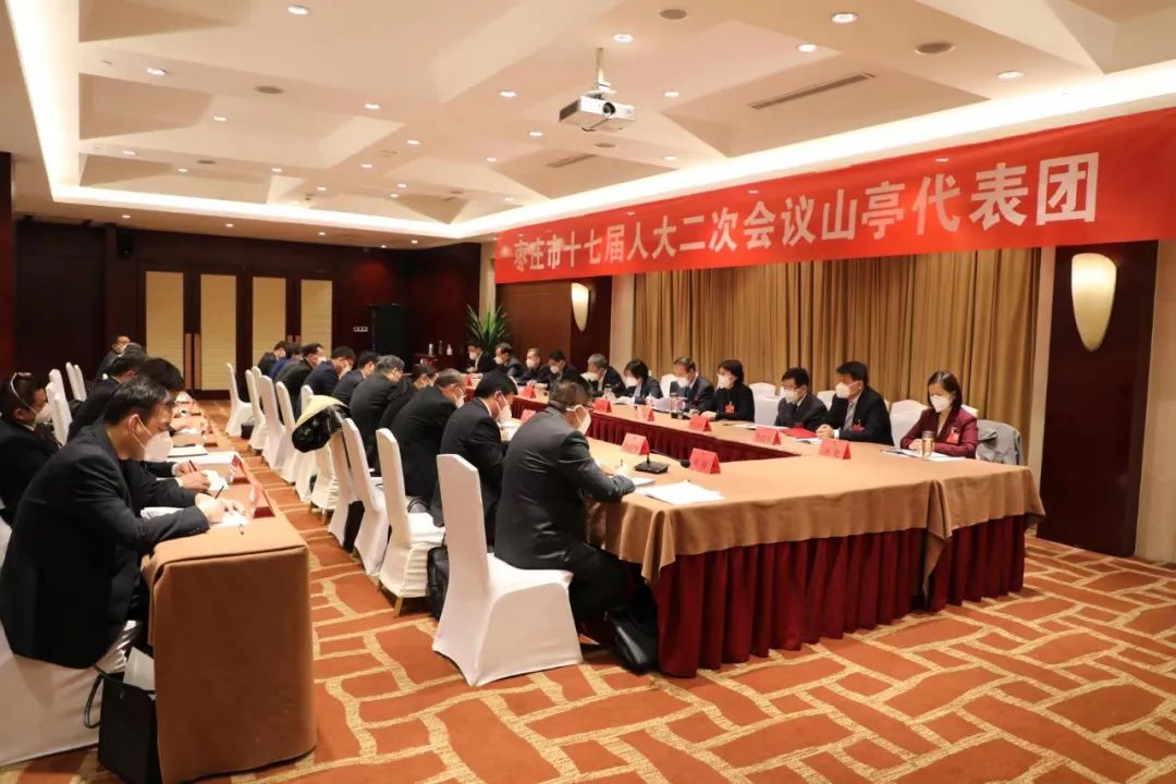 图片[3]-市领导参加山亭代表团审议-爱山亭网