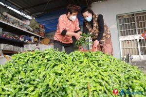 入股折算 分红增收-爱山亭网