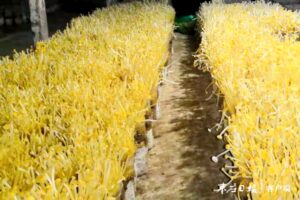 “党的好政策让俺过上幸福生活”-爱山亭网