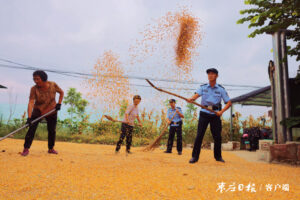 民警变身“庄稼汉” 助农秋收暖民心-爱山亭网