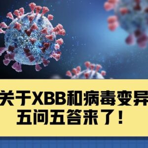 关于XBB和病毒变异，你关心的5个问题有了解答！-爱山亭网
