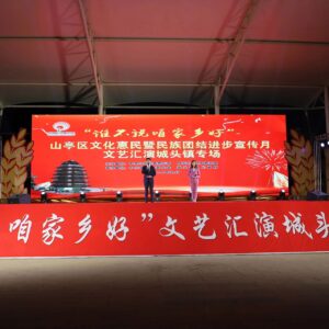 【循光奋进、砥砺前行，我们这一年】城头镇：踔厉奋发担使命 勇毅前行谱新篇-爱山亭网